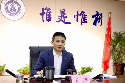 书画家王琦个人资料,艺术人生与艺术成就的璀璨篇章